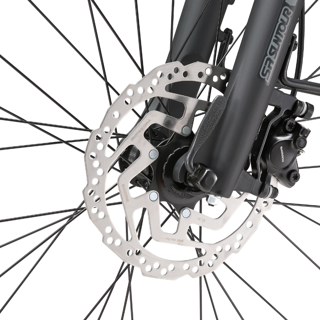 Cilo URBANFLEA CCL°03 Step-Through Road eBike