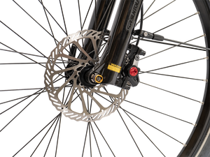 Cilo CITYLINER CCL°05+ Step-Through Road eBike